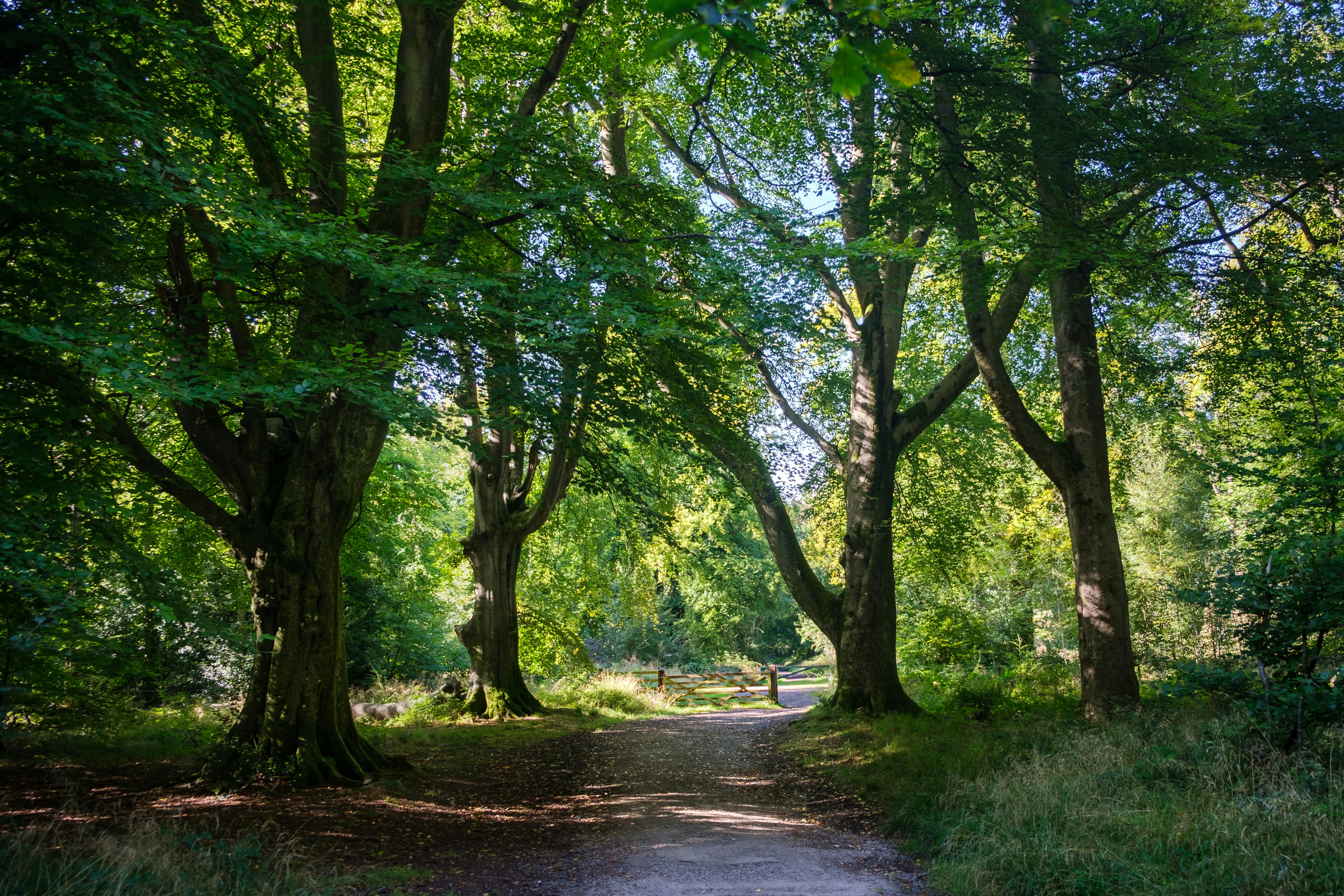 Scenic walk in countryside